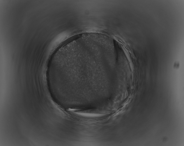 X0000095550197200801041338