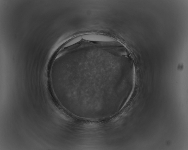 X0000095550198200801041338