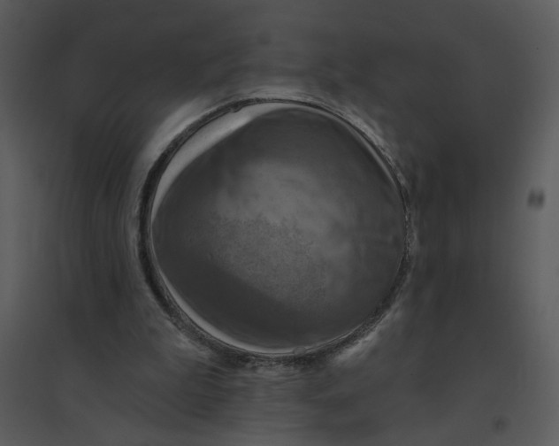 X0000095550199200801041338