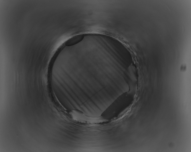 X0000095550200200801041338