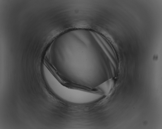 X0000095550201200801041338