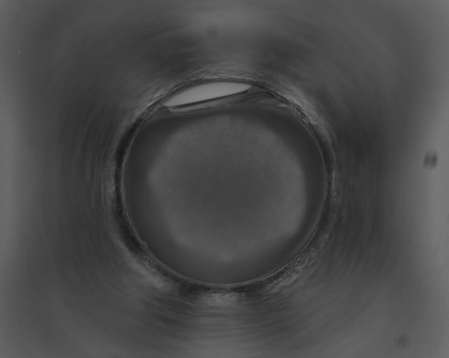 X0000095550202200801041338