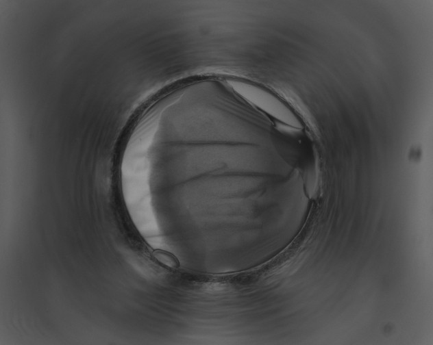 X0000095550204200801041338