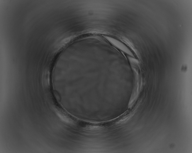 X0000095550205200801041338