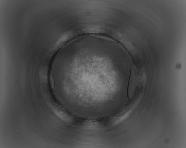 X0000095550207200801041338