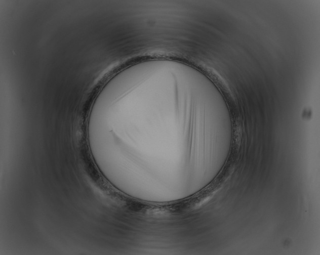 X0000095550208200801041338