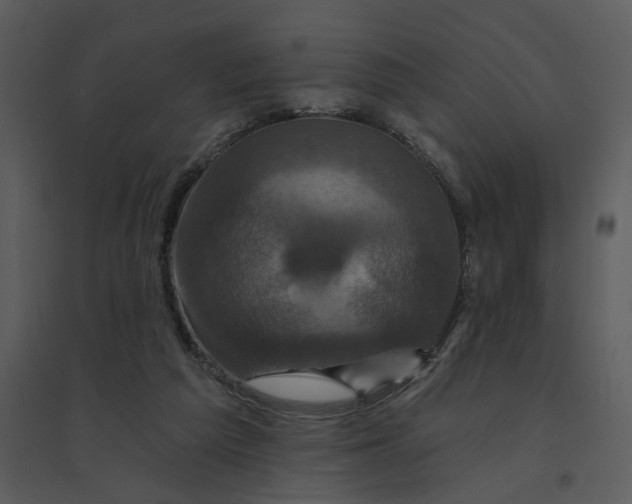 X0000095550209200801041338