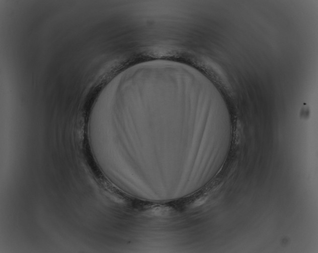 X0000095550210200801041338