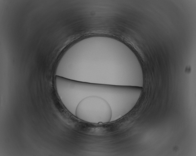 X0000095550212200801041338