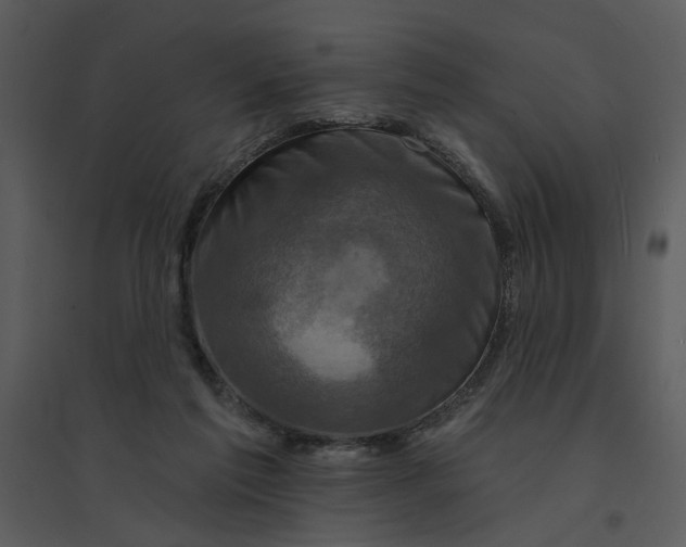 X0000095550213200801041338