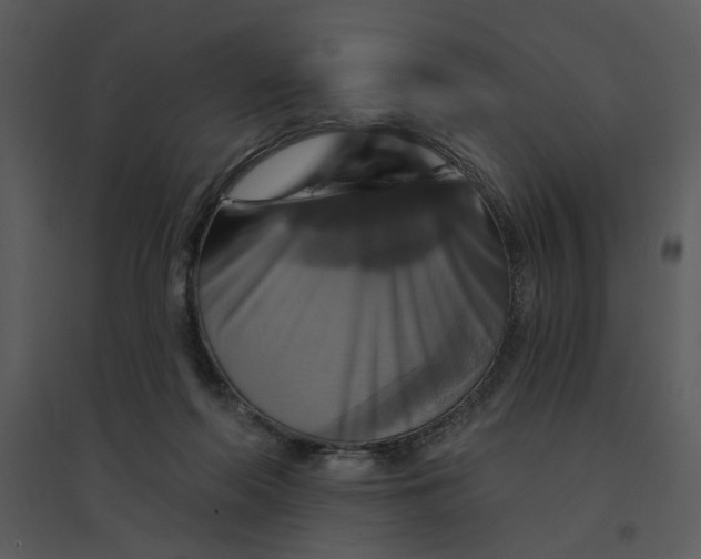 X0000095550214200801041338