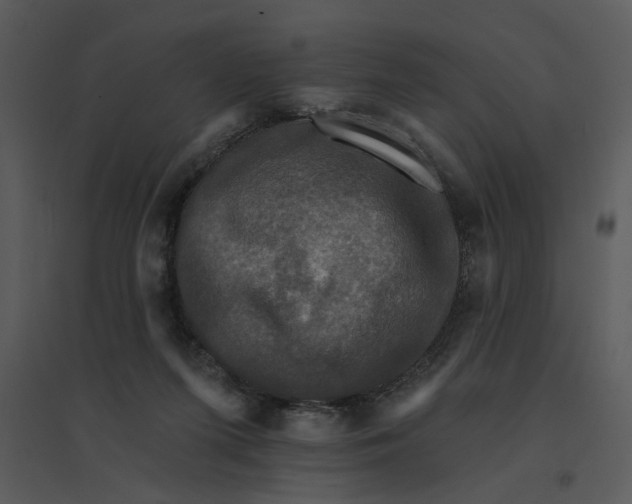 X0000095550215200801041338