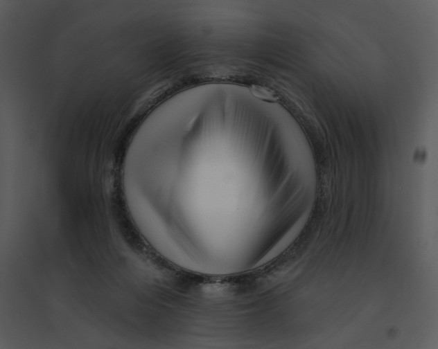 X0000095550216200801041338