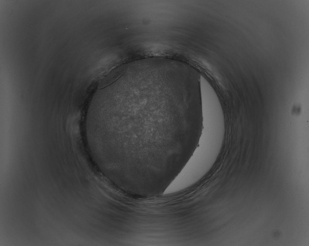 X0000095550217200801041338