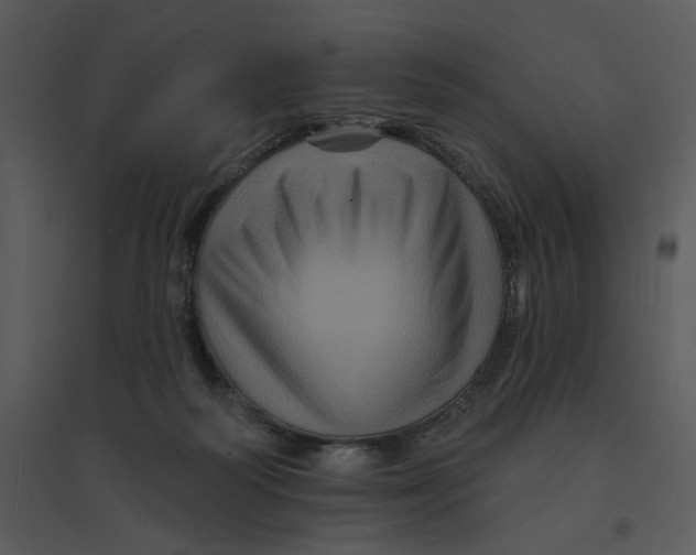 X0000095550218200801041338