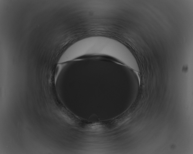 X0000095550219200801041338