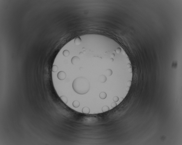 X0000095550220200801041338