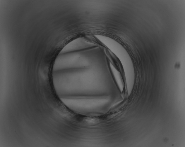 X0000095550221200801041338