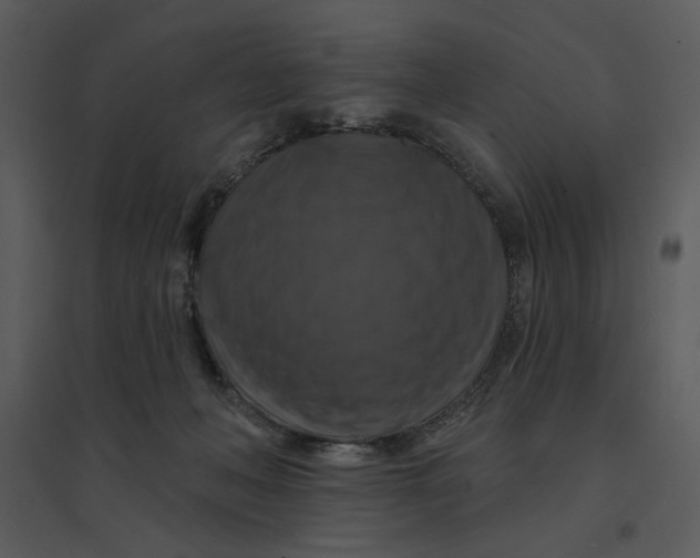 X0000095550222200801041338