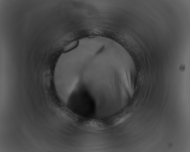 X0000095550223200801041338