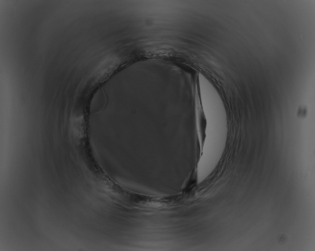 X0000095550224200801041338