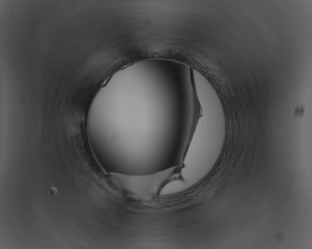 X0000095550225200801041338