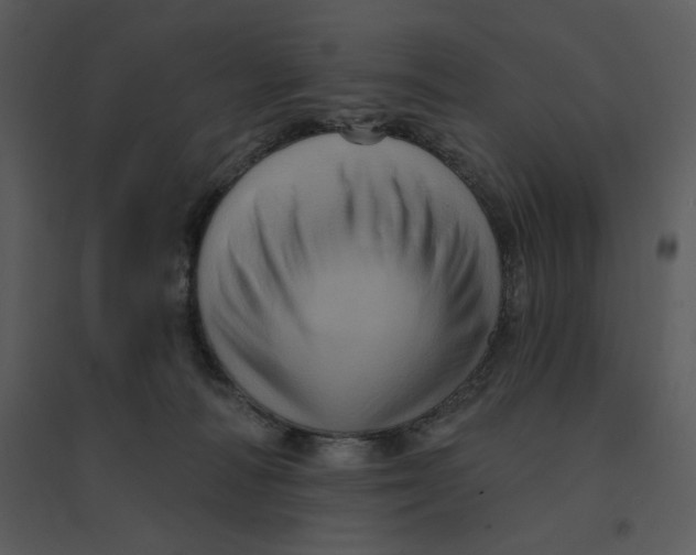 X0000095550226200801041338