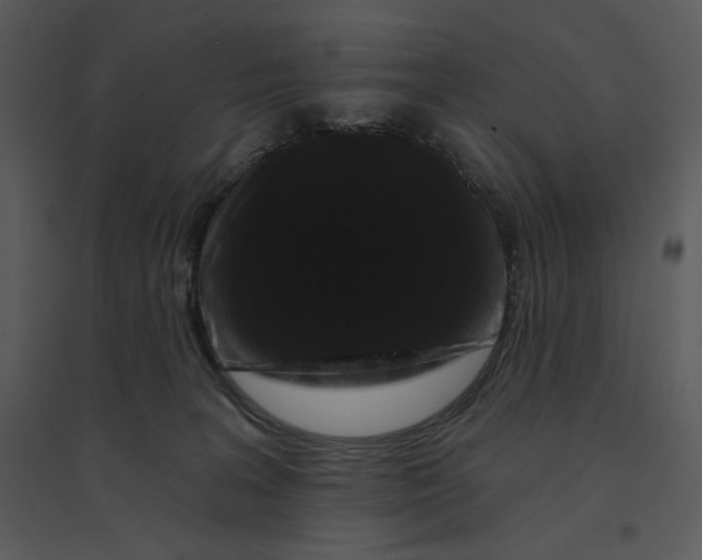 X0000095550227200801041338