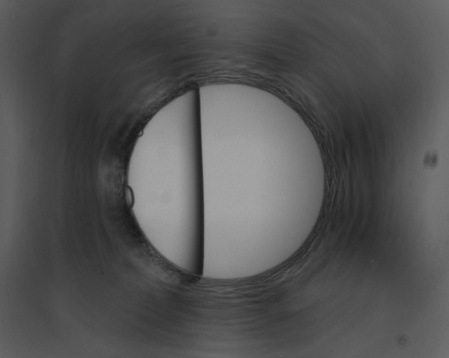 X0000095550228200801041338