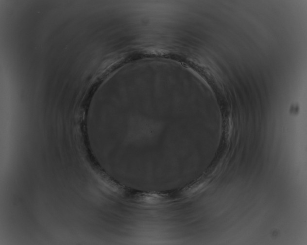 X0000095550229200801041338