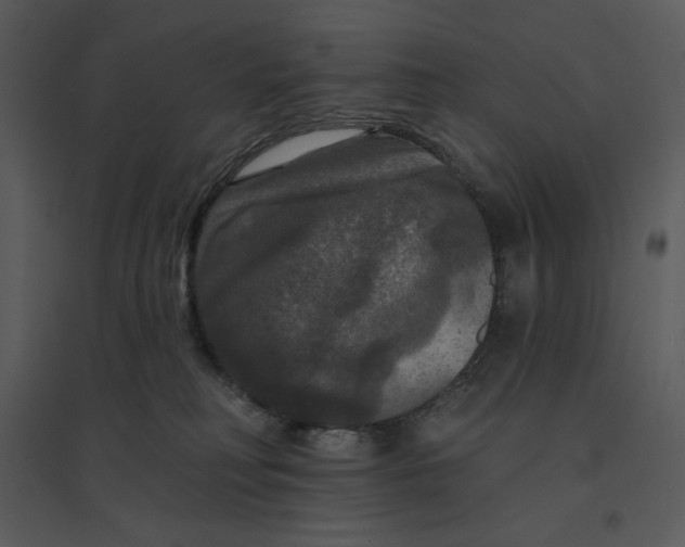 X0000095550230200801041338