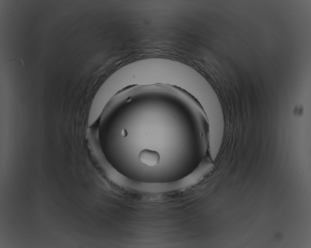 X0000095550231200801041338