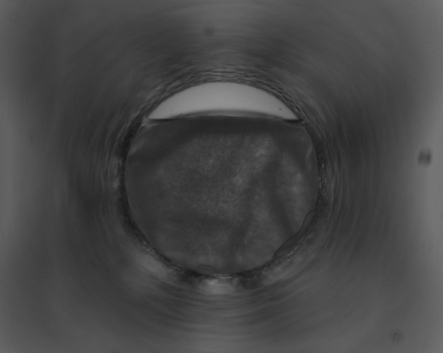 X0000095550232200801041338