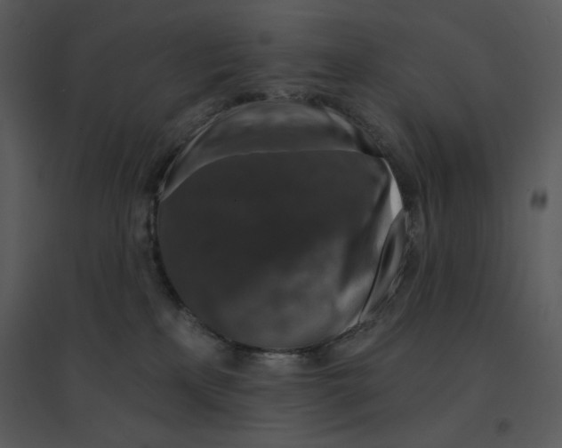 X0000095550233200801041338