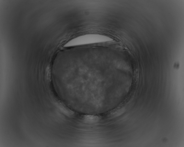 X0000095550234200801041338