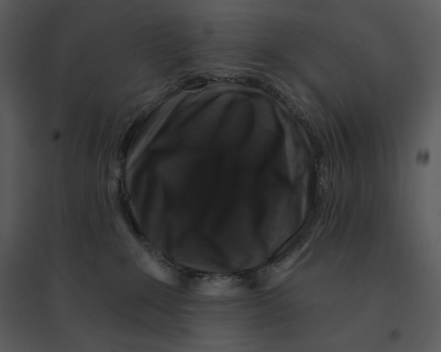 X0000095550235200801041338