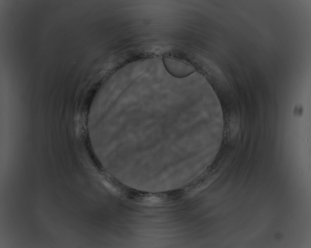 X0000095550236200801041338