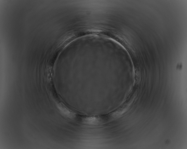 X0000095550237200801041338