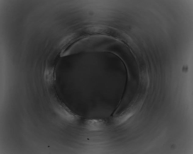 X0000095550239200801041337