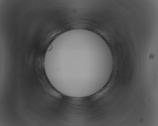 X0000095550240200801041337