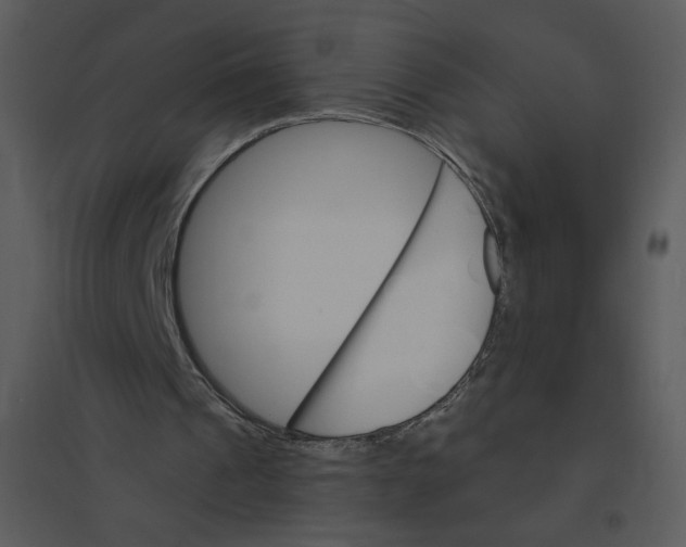 X0000095550241200801041337