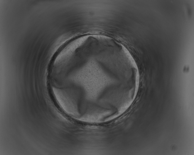 X0000095550242200801041337