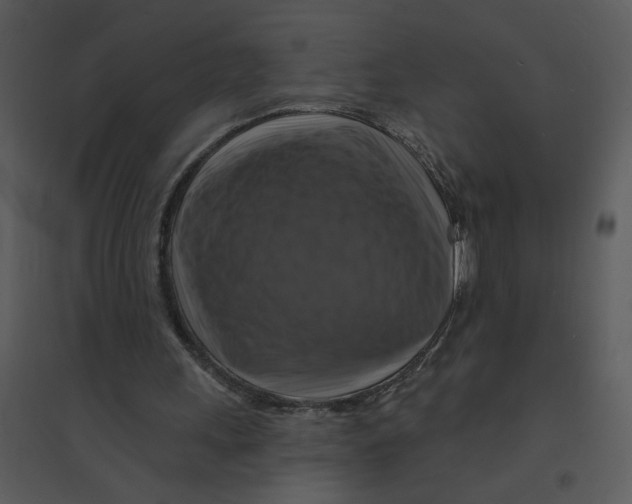 X0000095550243200801041337