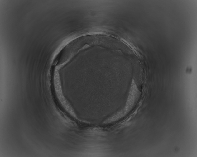 X0000095550244200801041337