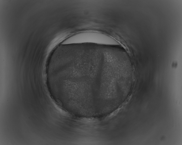 X0000095550245200801041337