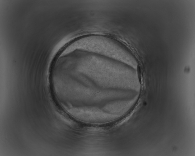 X0000095550246200801041337