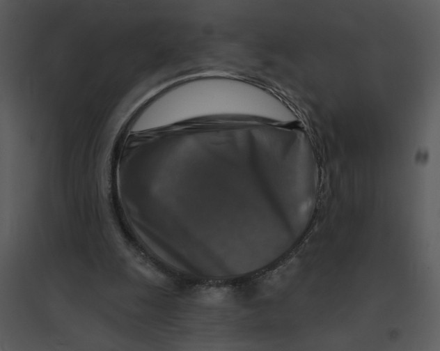 X0000095550247200801041337