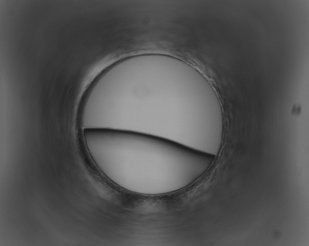 X0000095550248200801041337