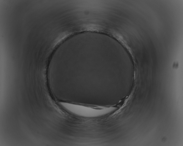 X0000095550249200801041337