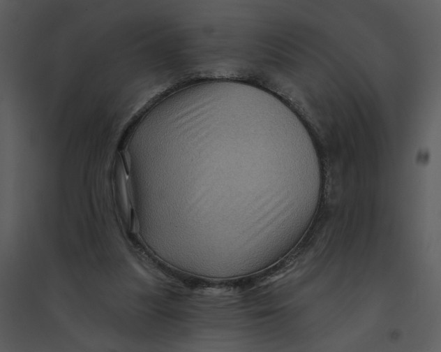 X0000095550251200801041337